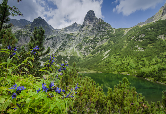 Jastrabia veža