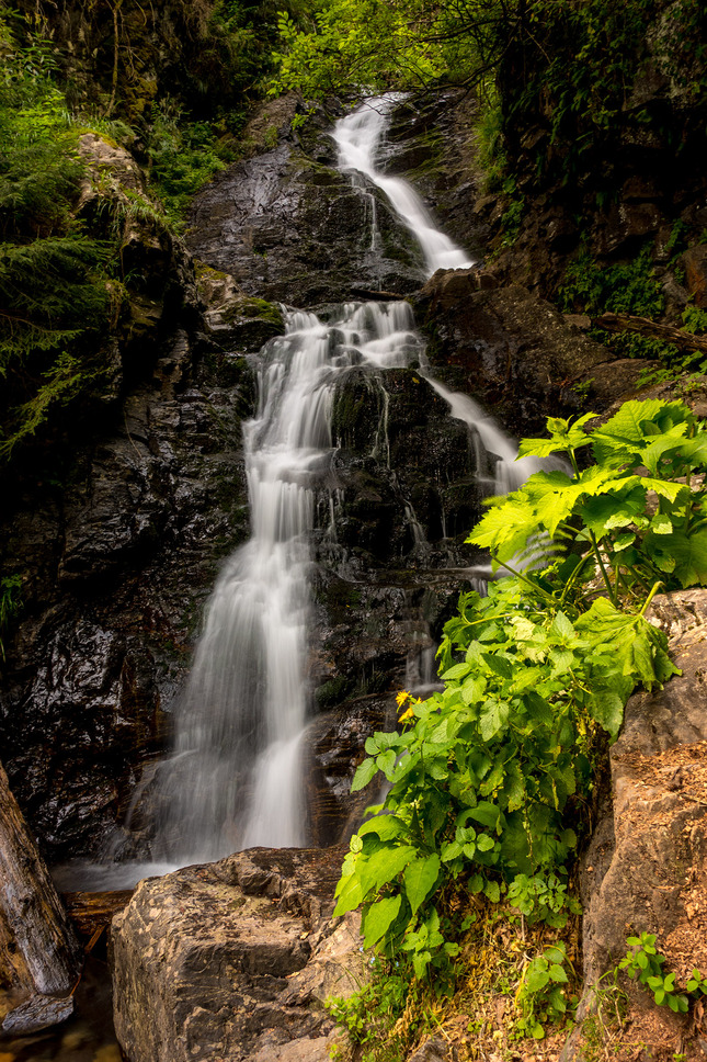 Cascada Pătrăhăițești (Buciniș)