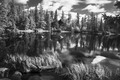 Štrbské pleso