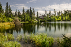 Štrbske pleso