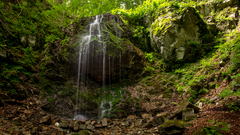 Cascada de la trecatoarea lupilo