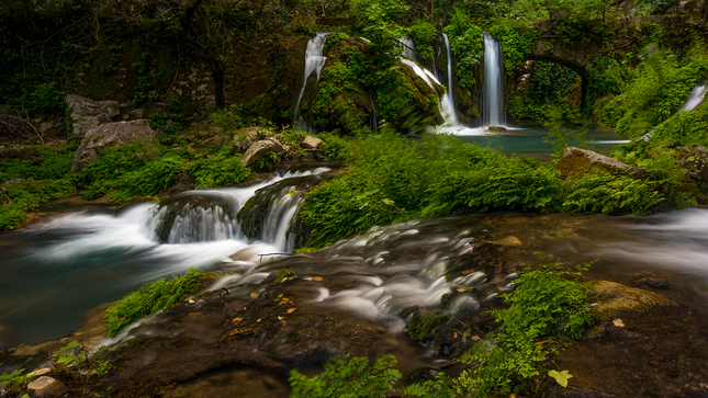 Ecopark Mlini-Bosna