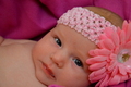Elin
