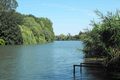 rameno
