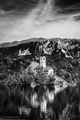 BLED