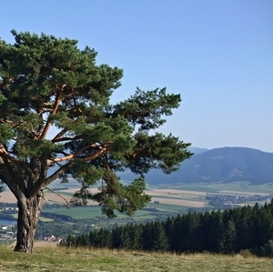 Na nádhernom Liptove