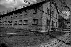 Oswienčim
