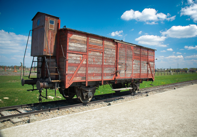 Auschwitz - Birkenau
