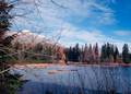 Štrbské pleso