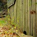 Jesenný plot