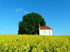 Kaplnka Sv. Rozálie