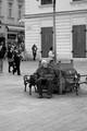 čakanie