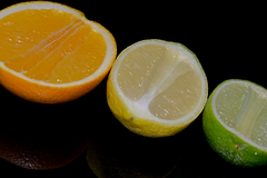orange & lemon & lime