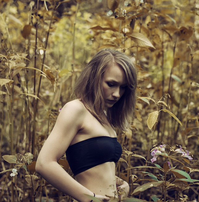 Yellow forrest