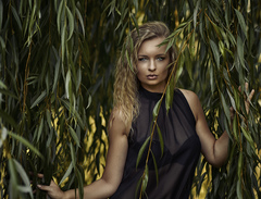 Amazonka
