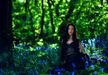 Fairy