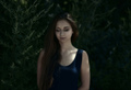 Moonlight dreamer
