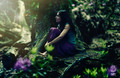 Lonely butterfly