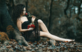 Valentine roses