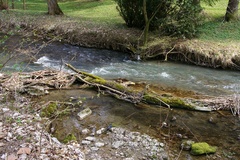 Rieka 2