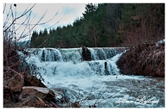 Rybná