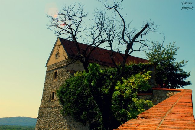 Bratislava