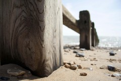 eastbourne