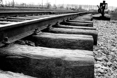 auschwitz