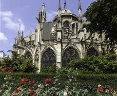 V parku za Notre dame