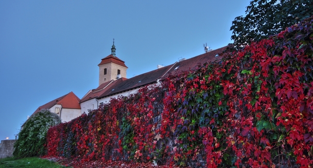 Jesenné farby na hradnom múre