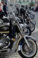 Harley zraz