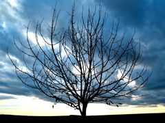 strom
