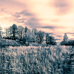 IR