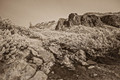 Tatry