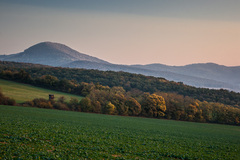 Zibrica