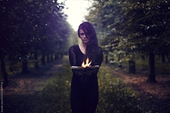 Things We Lost in the Fire