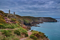 Cap Fréhel