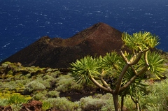 Isla La Palma