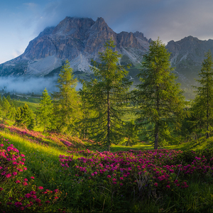 Dolomiti...