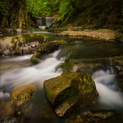 Na potoku v Radoli....