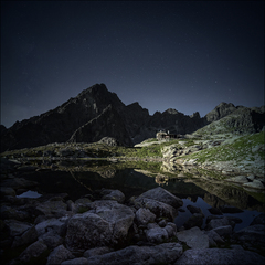 Terynka v mesačnom svite