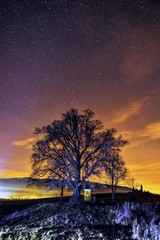 Tree Chapel and stars