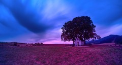 Pred tým ako prišiel dážď...