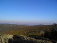 co dodat