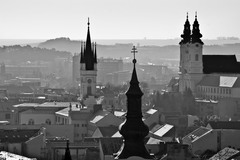 Nitrička