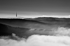 Vyhľad