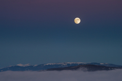 Malofatranský strážca