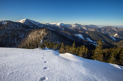 Fatranské pohľady