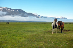 Islandské pohľady