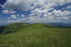 chumáčiky nad Fatrou